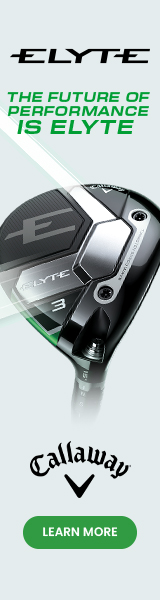 ELYTE-FAIRWAY-160x600-EN