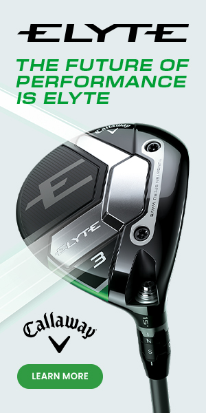 ELYTE-FAIRWAY-300x600-EN