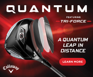 300x250-Quantum-Driver