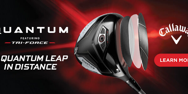 700x300-Quantum-Driver