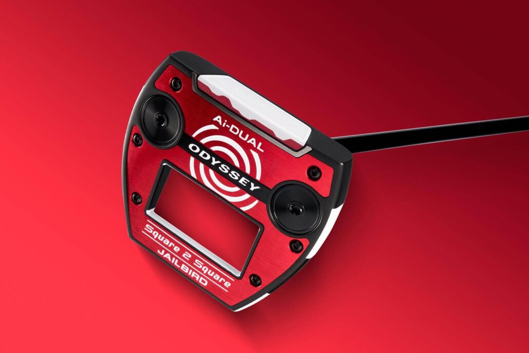 Jailbird-Square-2-Square-Ai-DUAL-Studio-1001