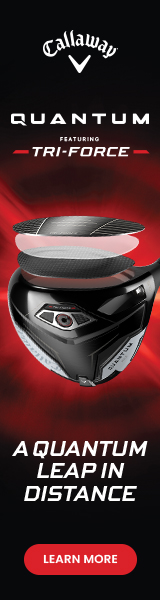 QUANTUM-DR-160x600-EN