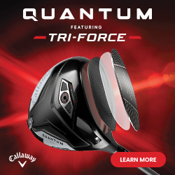 QUANTUM-DR-250x250-EN