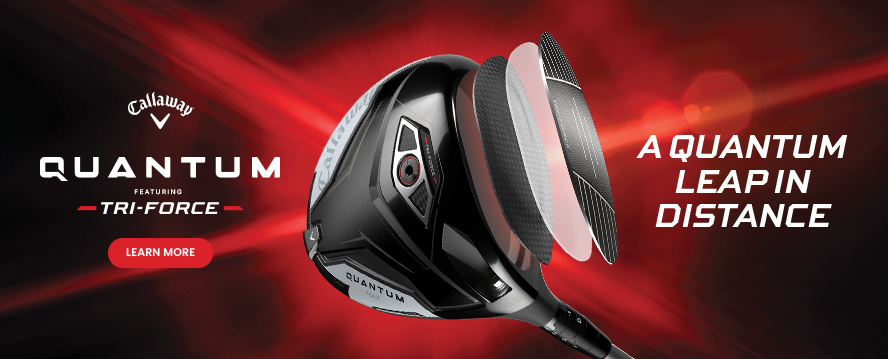 QUANTUM-DR-888x359-EN