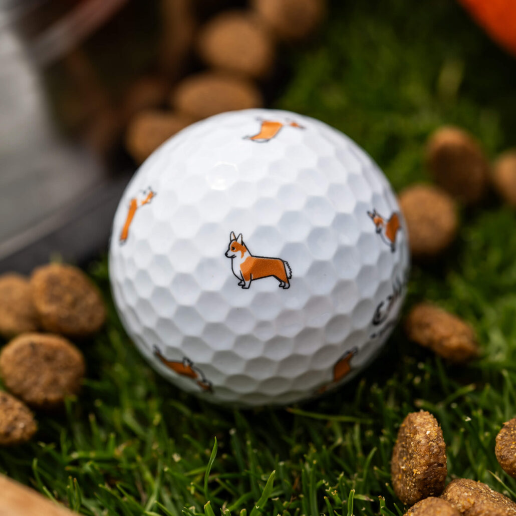balls-2026-chrome-tour-truvis-corgi_lifestyle___2