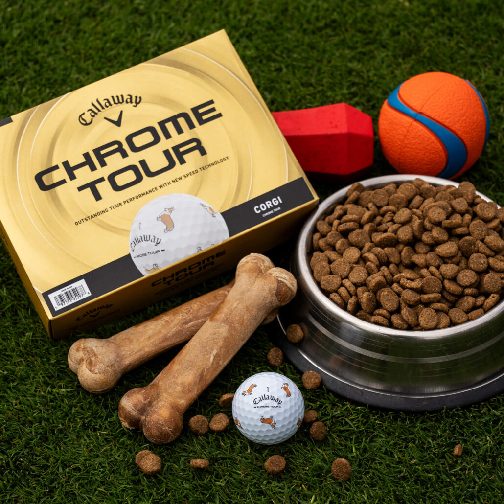 balls-2026-chrome-tour-truvis-corgi_lifestyle___3