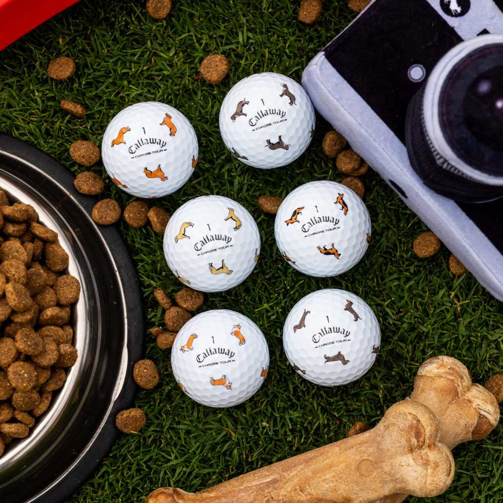balls-2026-chrome-tour-truvis-corgi_lifestyle___4