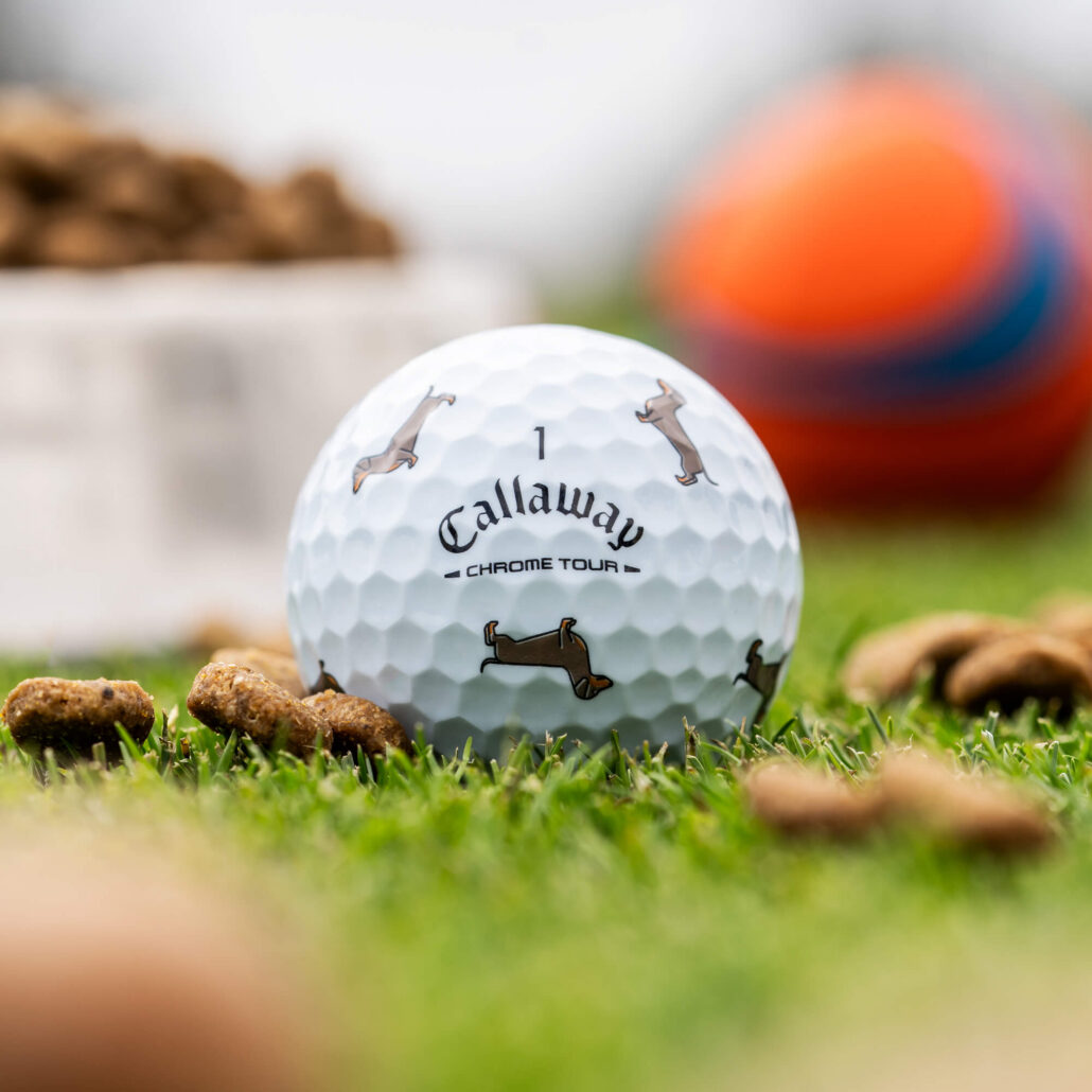balls-2026-chrome-tour-truvis-dachshund_lifestyle___5