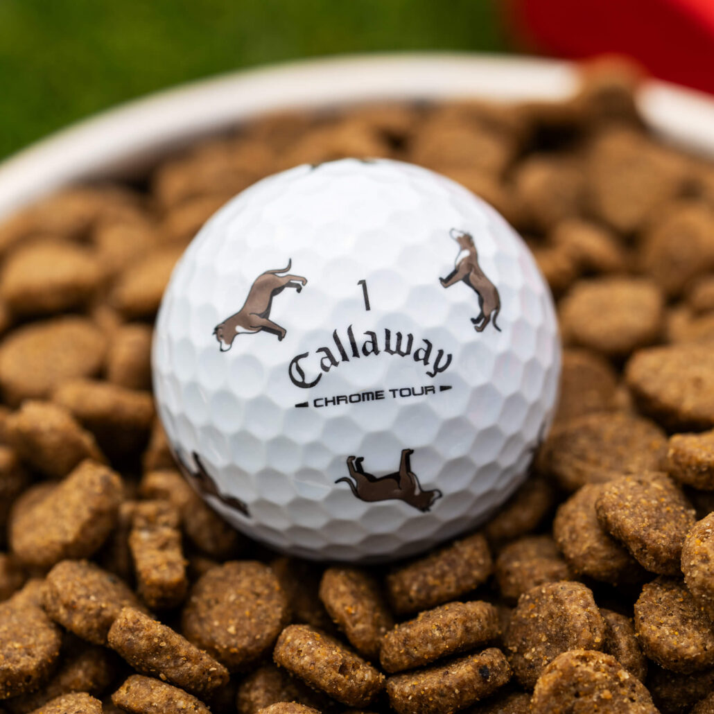 balls-2026-chrome-tour-truvis-pit-bull_lifestyle___1