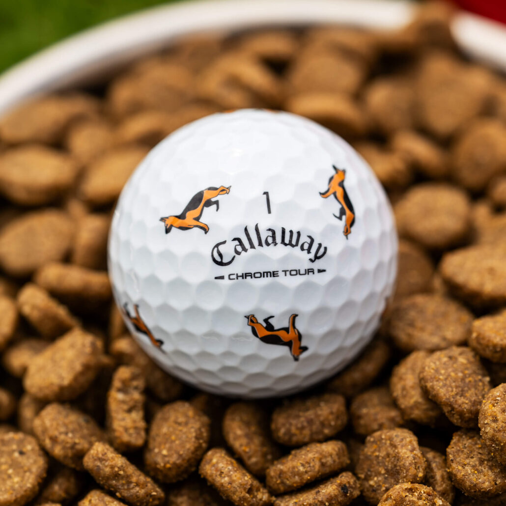 balls-2026-chrome-tour-truvis-shepherd_lifestyle___1