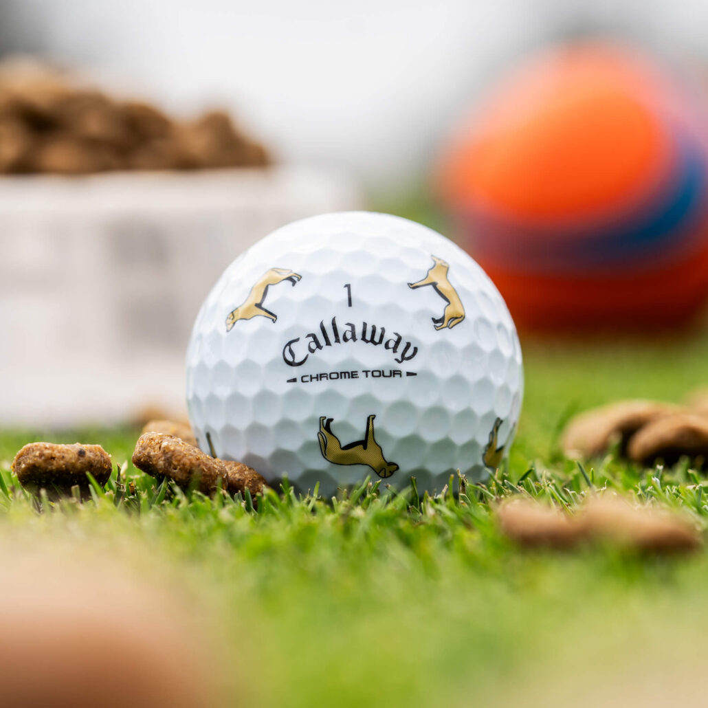 balls-2026-chrome-tour-truvis-yellow-lab_lifestyle___5